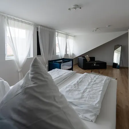 Im Dachgeschoss Apartment Plankstadt